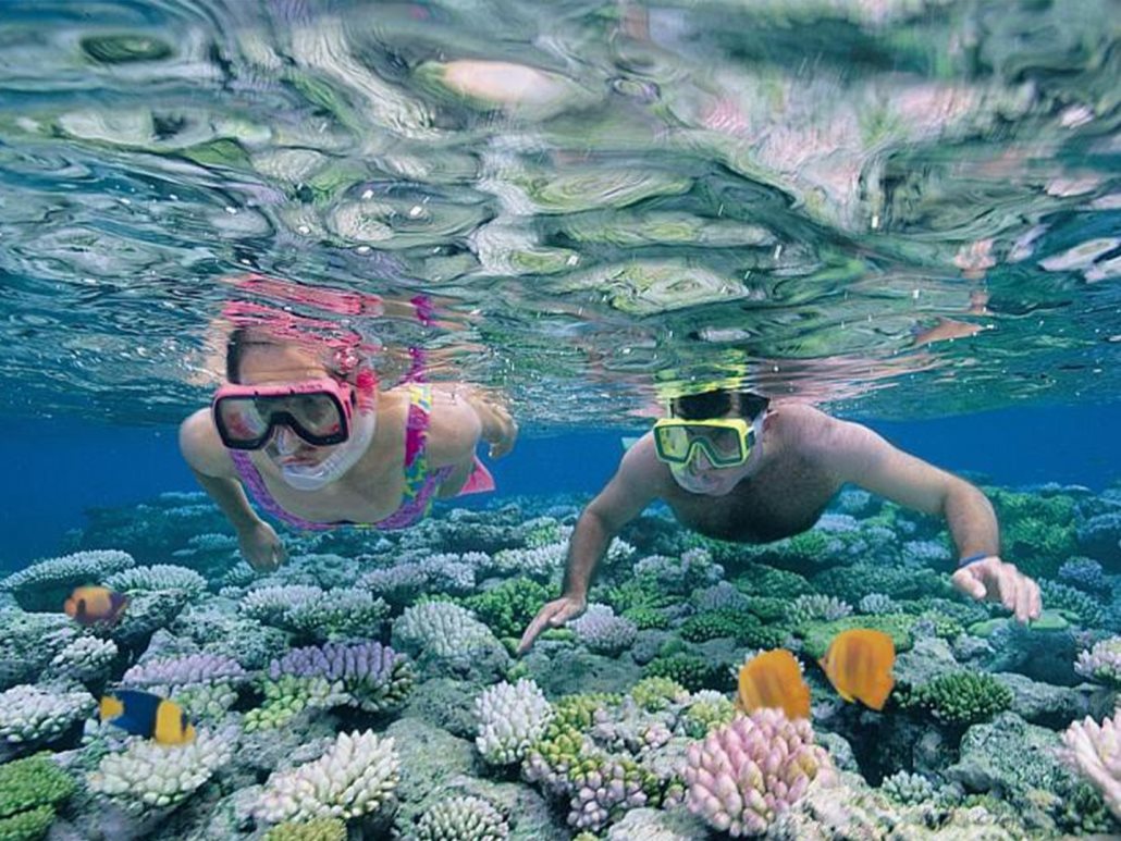Mnemba Island Snorkeling Tour